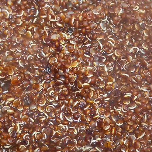 Quinoa vermelha cozida